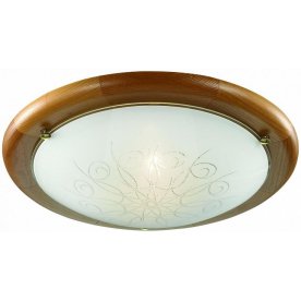 Настенно-потолочный светильник Kalda 225