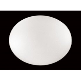 Настенно-потолочный светильник Leka 2051/DL