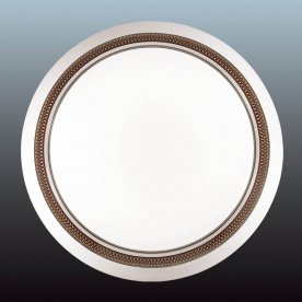 Настенно-потолочный светильник Limura 2033/C