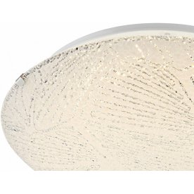 Настенно-потолочный светильник Noir 40481