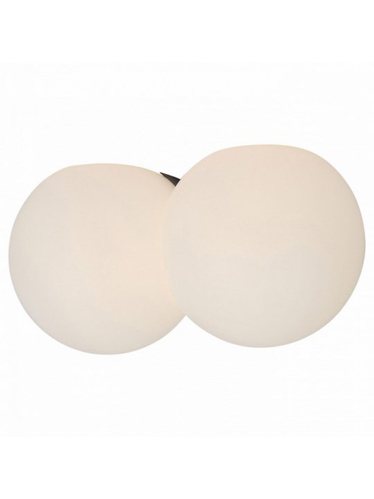 Настенно-потолочный светильник Orbe SL809.501.02