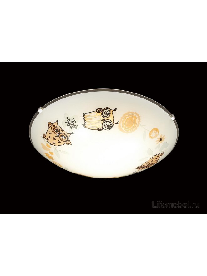 Настенно-потолочный светильник Ovi 2067/BL