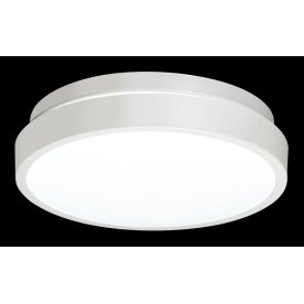 Настенно-потолочный светильник SMALLI 3014/AL