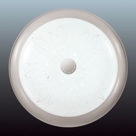 Настенно-потолочный светильник Unika 2031/C