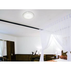 Настенно-потолочный светильник Wave 2040/DL