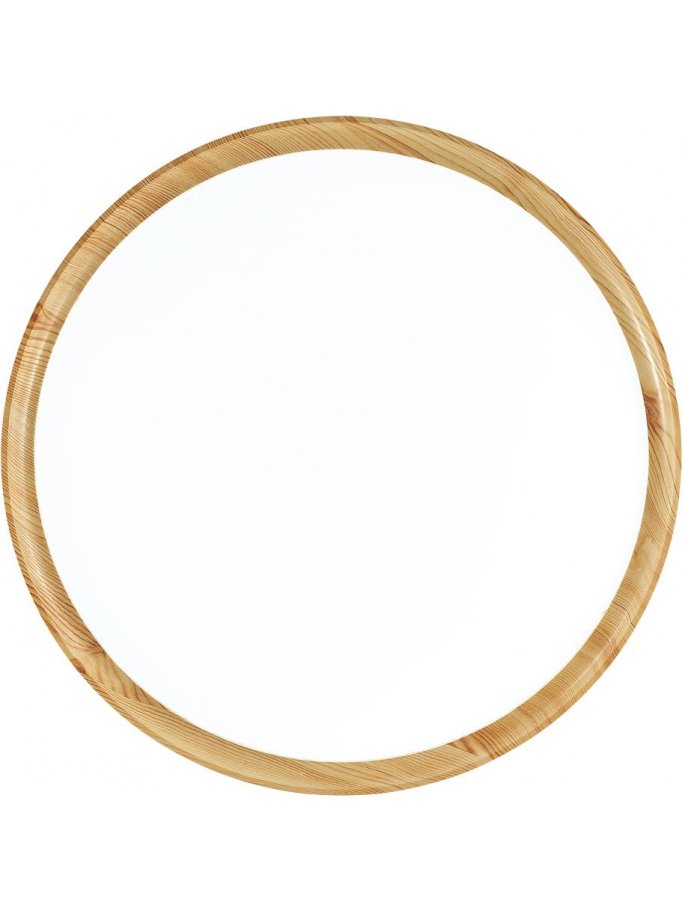 Настенно-потолочный светильник WOODI 3019/DL