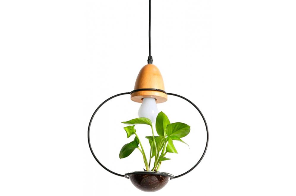 Подвесной светильник Астильба 08303-2