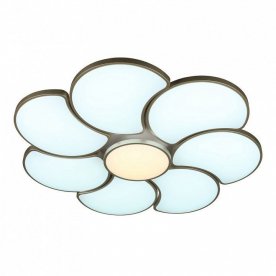 Потолочный светильник Arielli OML-18507-94