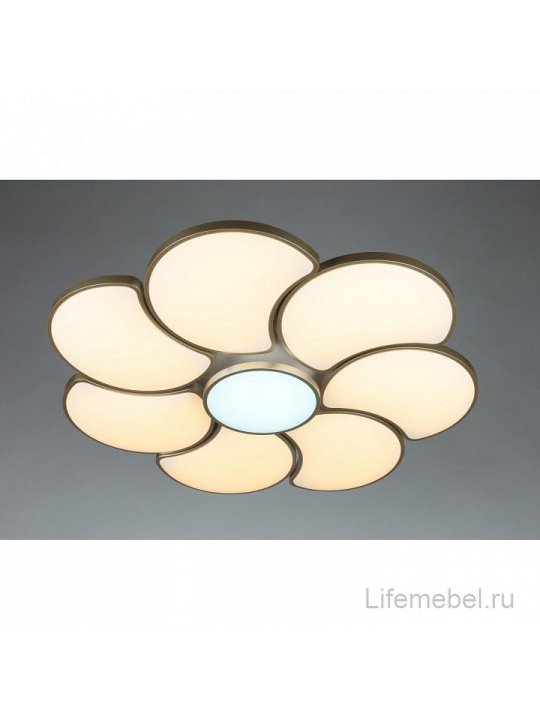 Потолочный светильник Arielli OML-18507-94