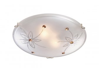 Накладной светильник Floret 349