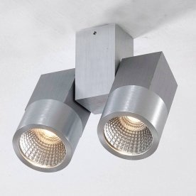 Потолочный светильник Дубль CL556101