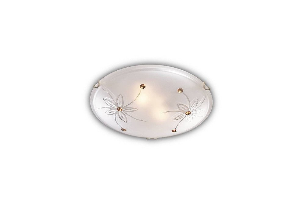 Потолочный светильник Sonex Floret 149/K