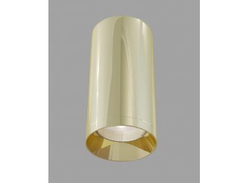 Потолочный светильник C010CL-01G