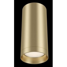 Потолочный светильник C010CL-01MG