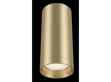 Потолочный светильник C010CL-01MG