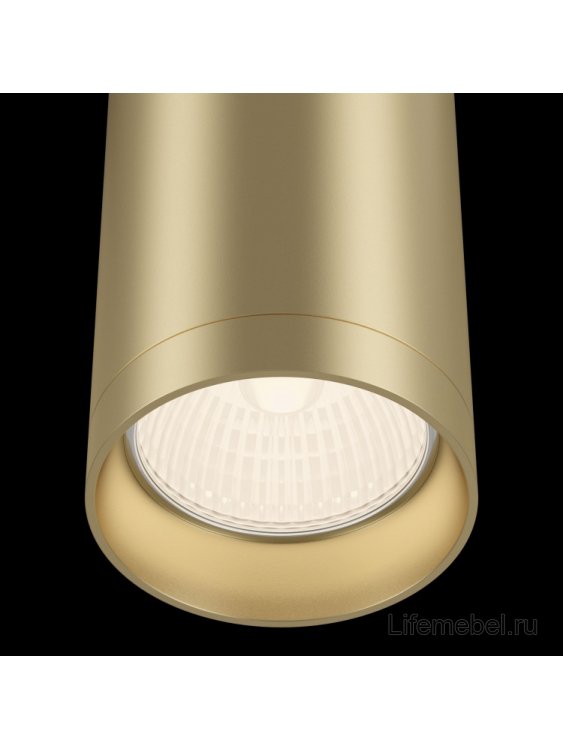 Потолочный светильник Alfa C010CL-01MG
