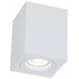 Потолочный светильник C013CL-01W