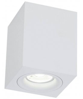 Потолочный светильник C013CL-01W