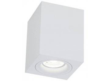 Потолочный светильник C013CL-01W