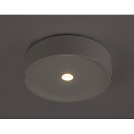 Потолочный светильник Arthur 55005-10