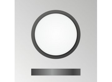 Потолочный светильник Бейсик CL738121N