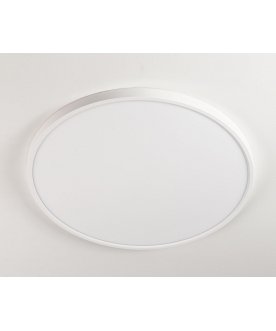 Потолочный светильник Бейсик CL738400V