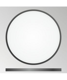 Потолочный светильник Бейсик CL738401V