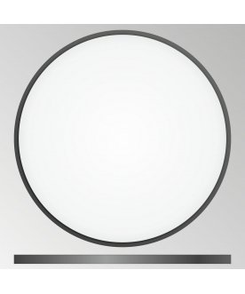 Потолочный светильник Бейсик CL738501V