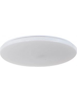 Потолочный светильник Bianco E 1.13.49 W