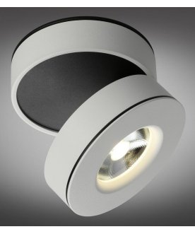 Потолочный светильник OML-101909-12