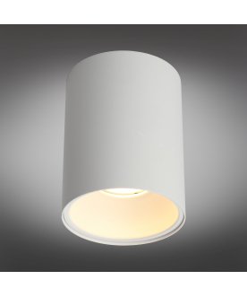 Потолочный светильник Cariano OML-101209-01