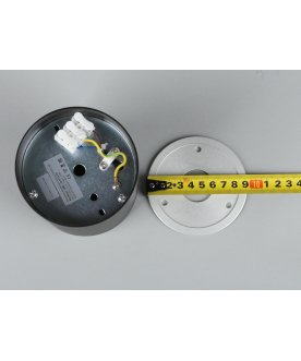 Потолочный светильник Cariano OML-101219-01