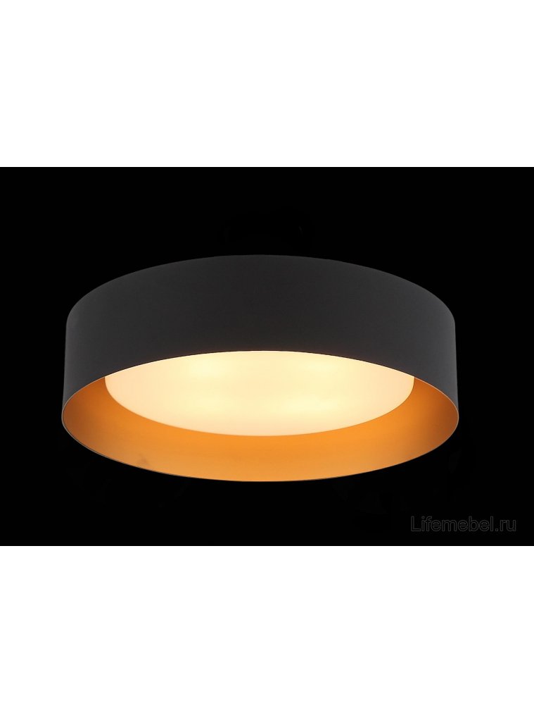 Потолочный светильник Chio SL392.422.04