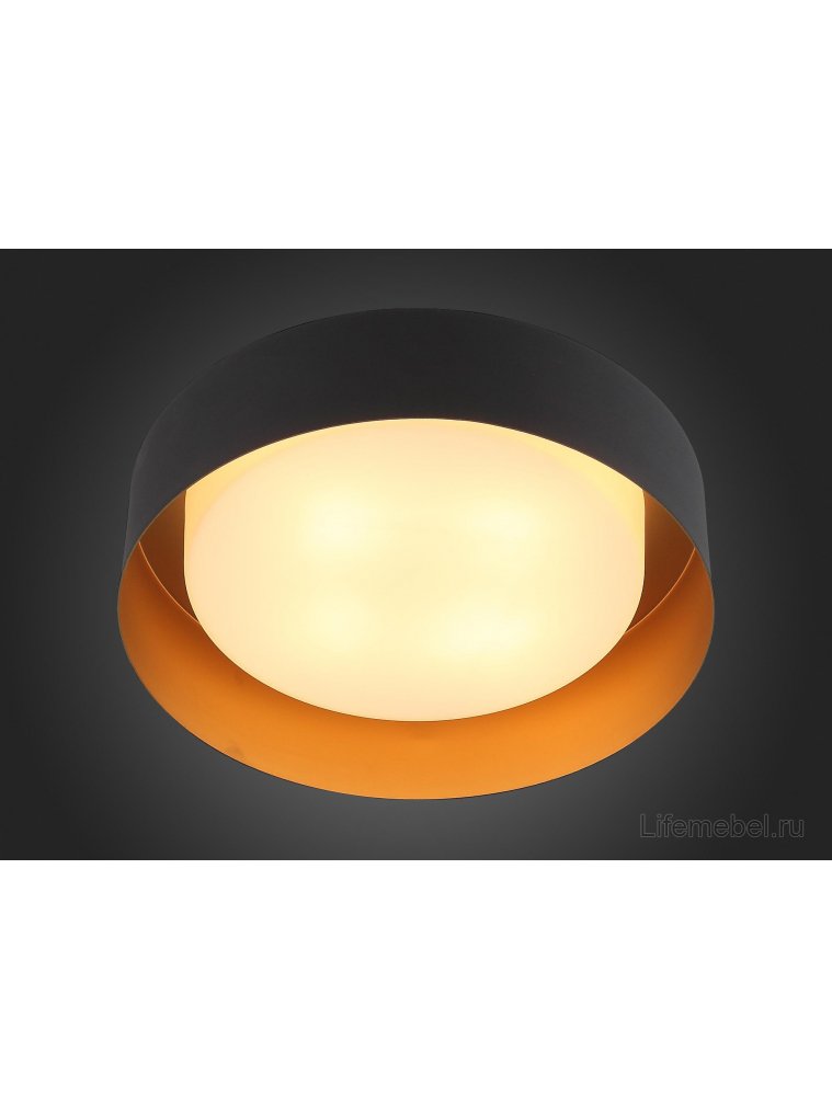 Потолочный светильник Chio SL392.422.04