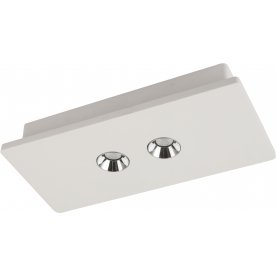 Потолочный светильник Christine 55010-2