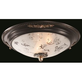 Потолочный светильник Diametrik C907-CL-02-R