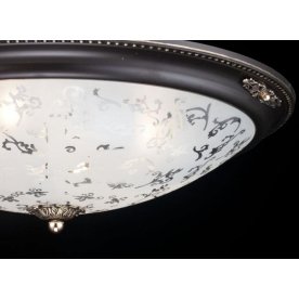 Потолочный светильник Diametrik C907-CL-06-R