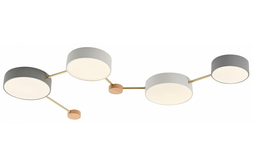 Потолочный светильник Dossena SLE600102-04