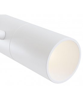 Потолочный светильник Elti C020CL-01W