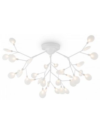 Потолочный светильник Florencia FR5049CL-36W1