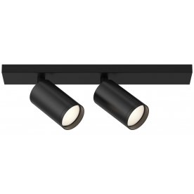 Потолочный светильник C051CL-2B