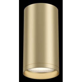 Потолочный светильник C052CL-01MG