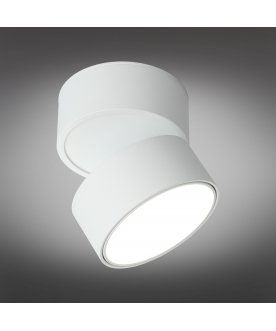 Потолочный светильник Lenno OML-101309-12