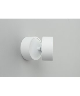 Потолочный светильник Lenno OML-101309-12