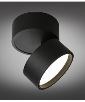 Потолочный светильник Lenno OML-101319-12