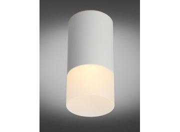 Потолочный светильник Lucido OML-100609-01