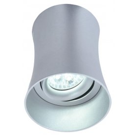 Потолочный светильник LDC 8053-B SS-D85*H115 SL