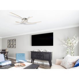 Потолочный светильник Nika 67088