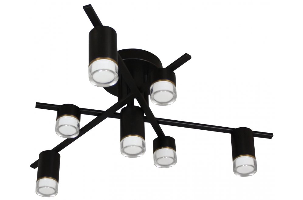 Потолочный светильник Нилс 07850-7,19