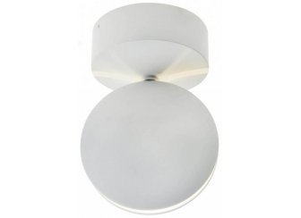 Потолочный светильник Ореон 08574,01